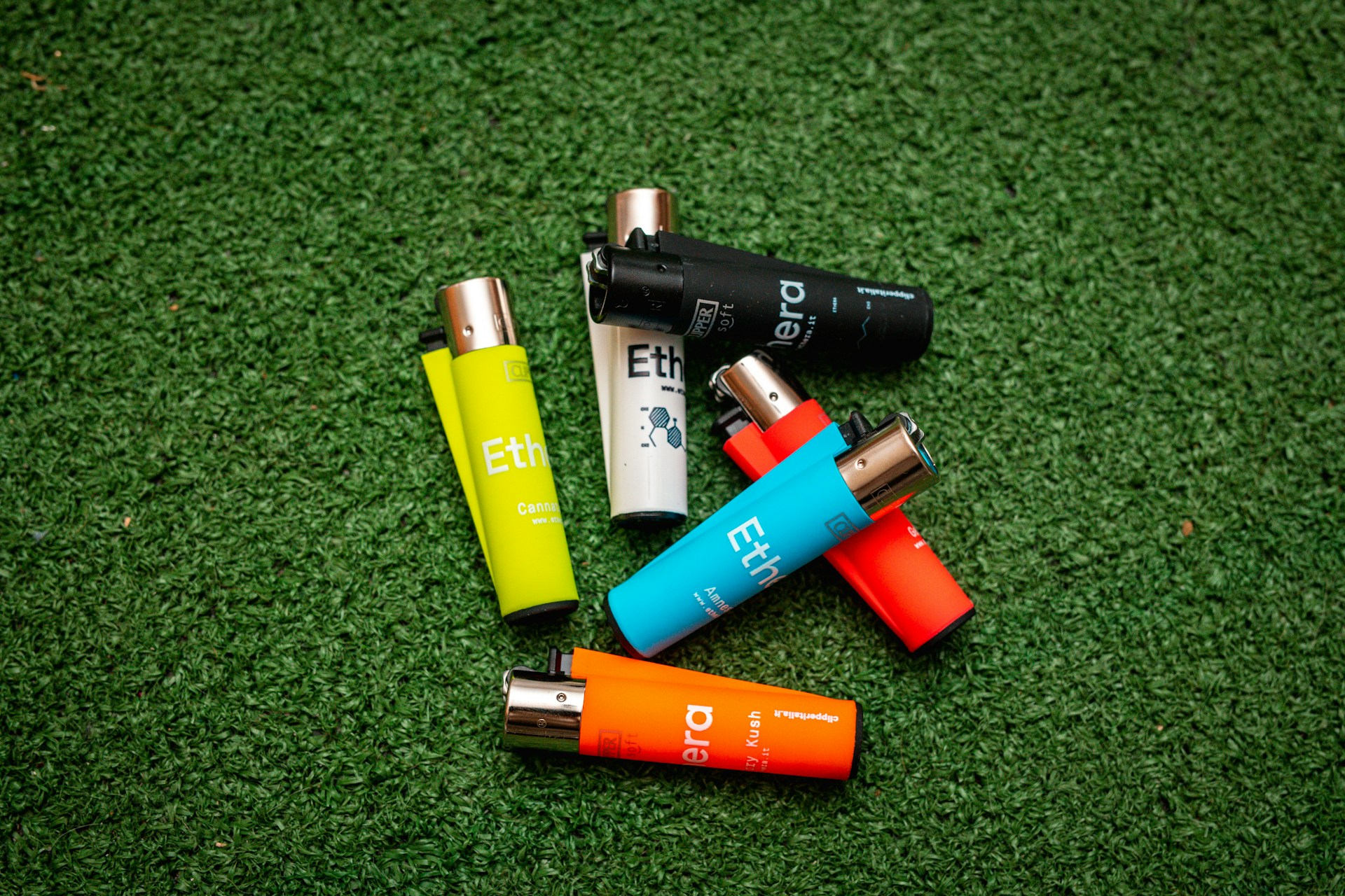 EcoSmart Energy Storage Manager