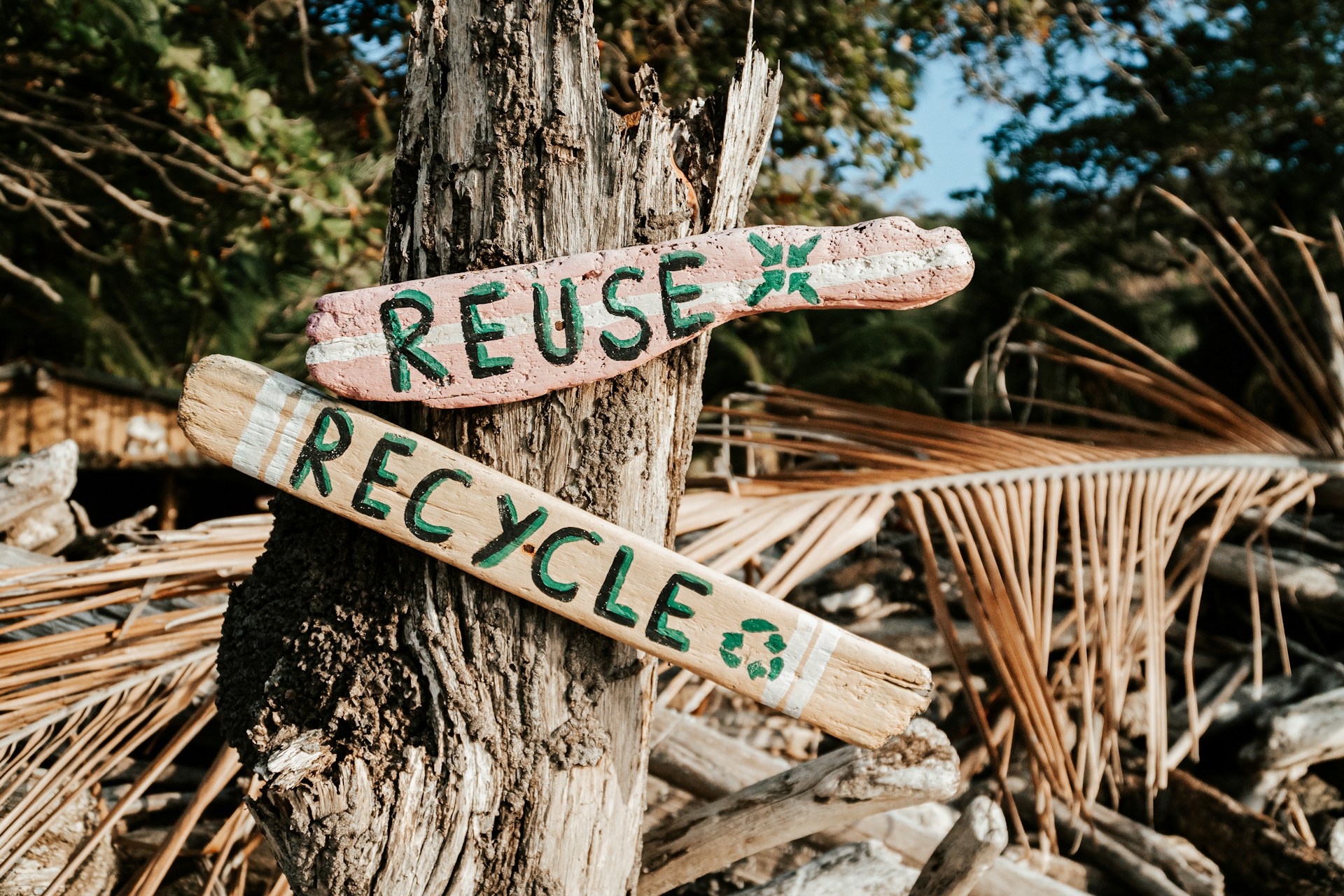 EcoBuild Waste Reduction Module