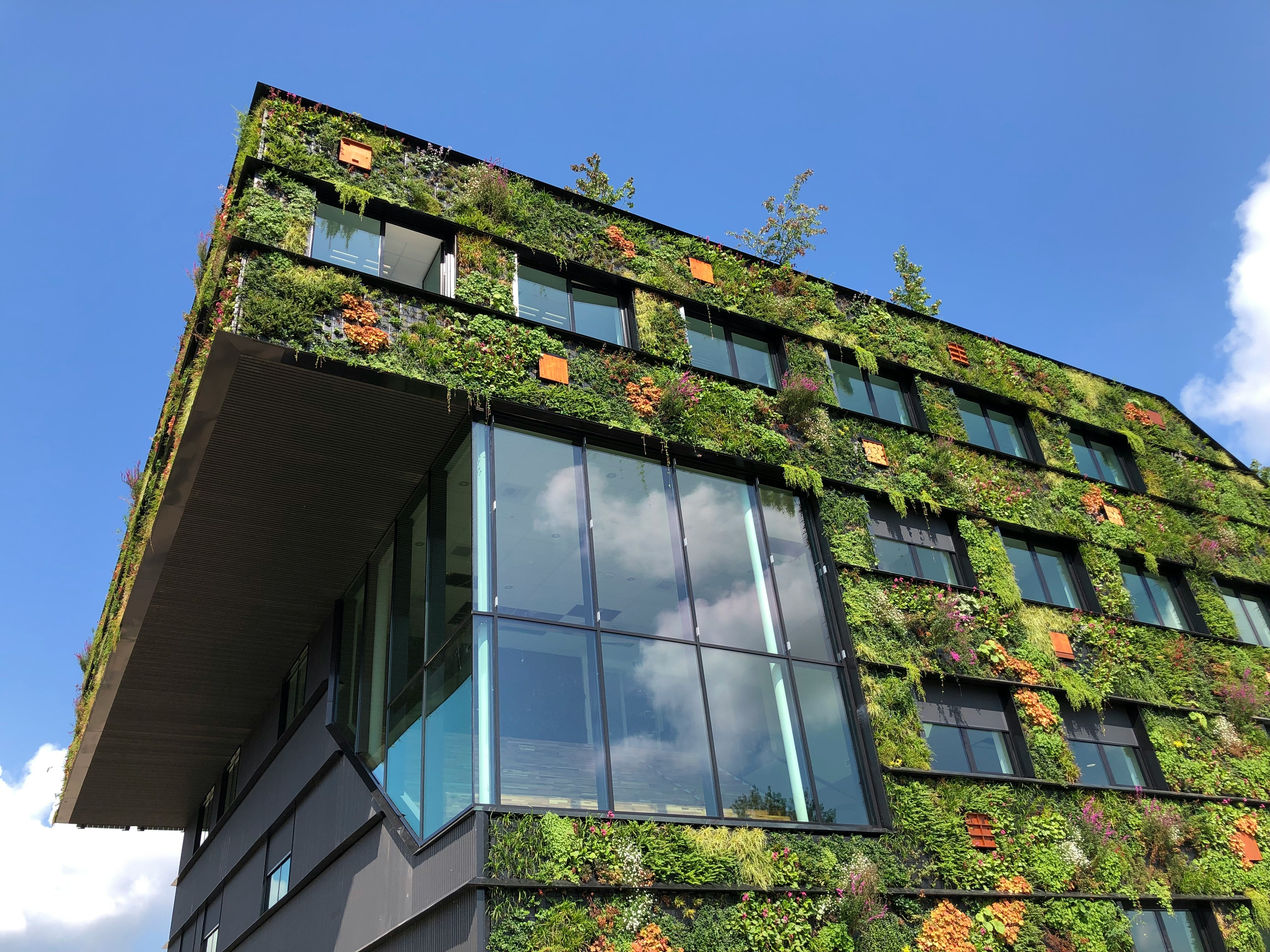 BioCircular Green Building Materials Panel